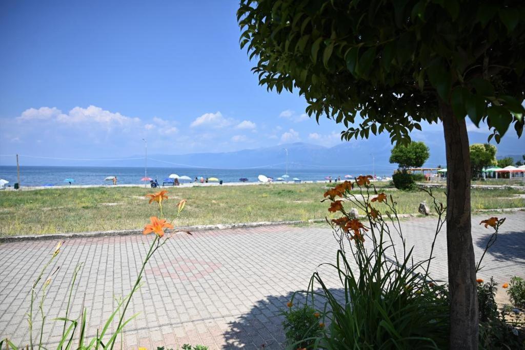 B & B Pogradec Exterior photo